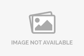 Tak Perlu Antri! Disdukcapil Inhil Sosialisasikan Aplikasi Adinda & IKD